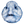 Wolf Eel