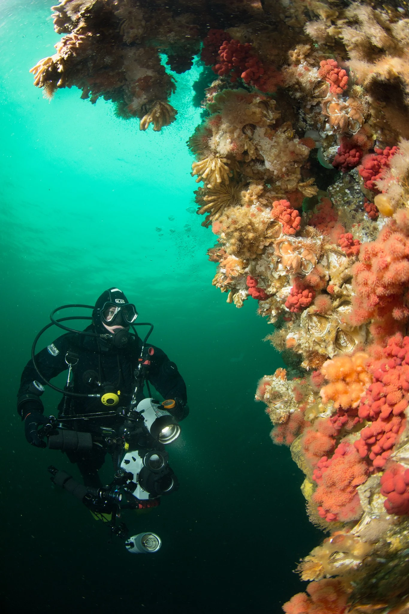 Scuba Jess at Browning Wall. Photo by Eric Askilsrud.