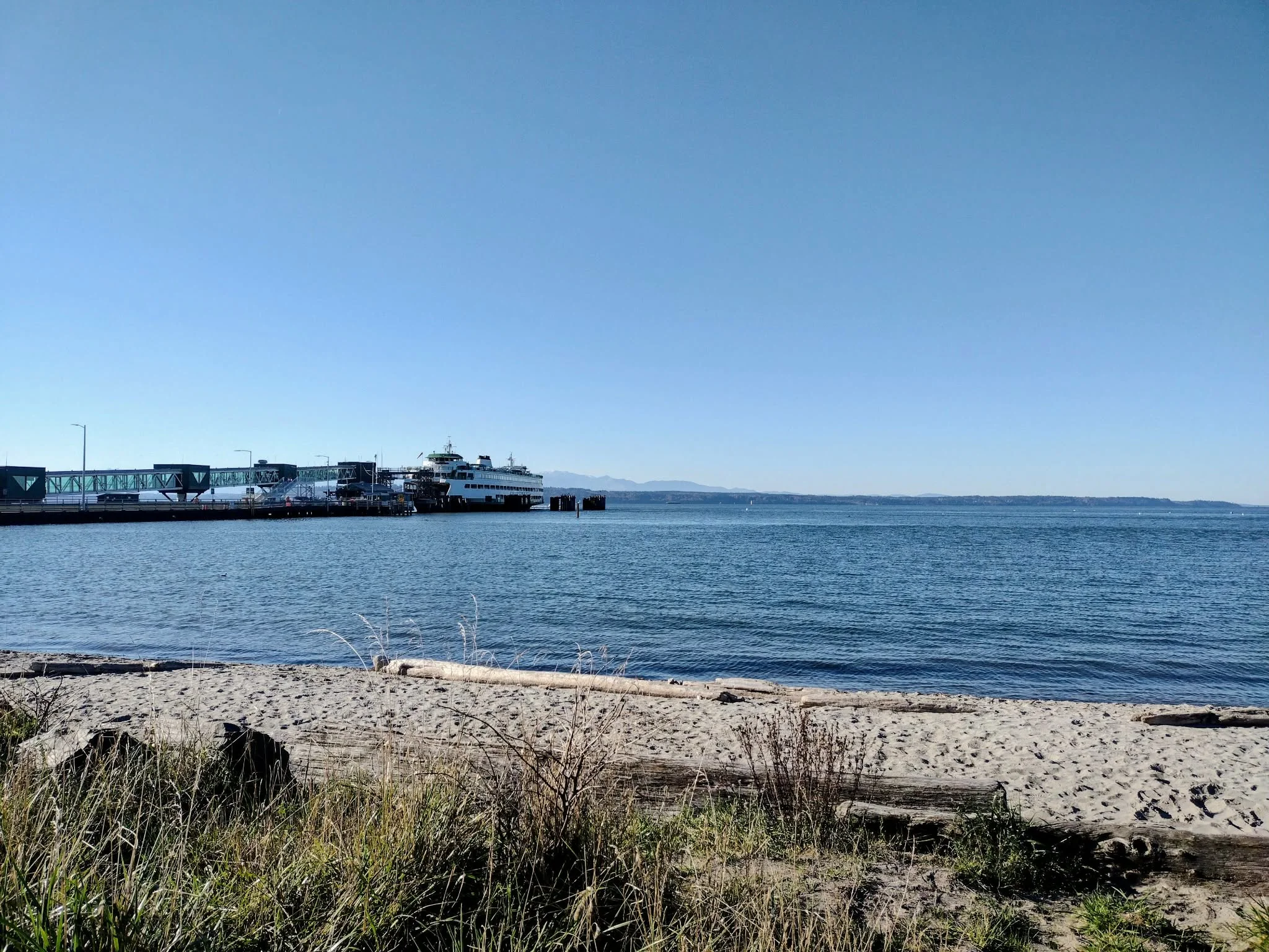 Edmonds Underwater Park (Edmonds, WA) at the surface. Photo by Scuba Jess.