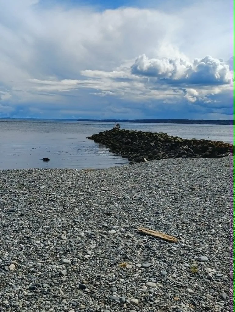Surface view of Keystone Jetty from the cobble beach at Fort Casey State Park, Whidbey Island.