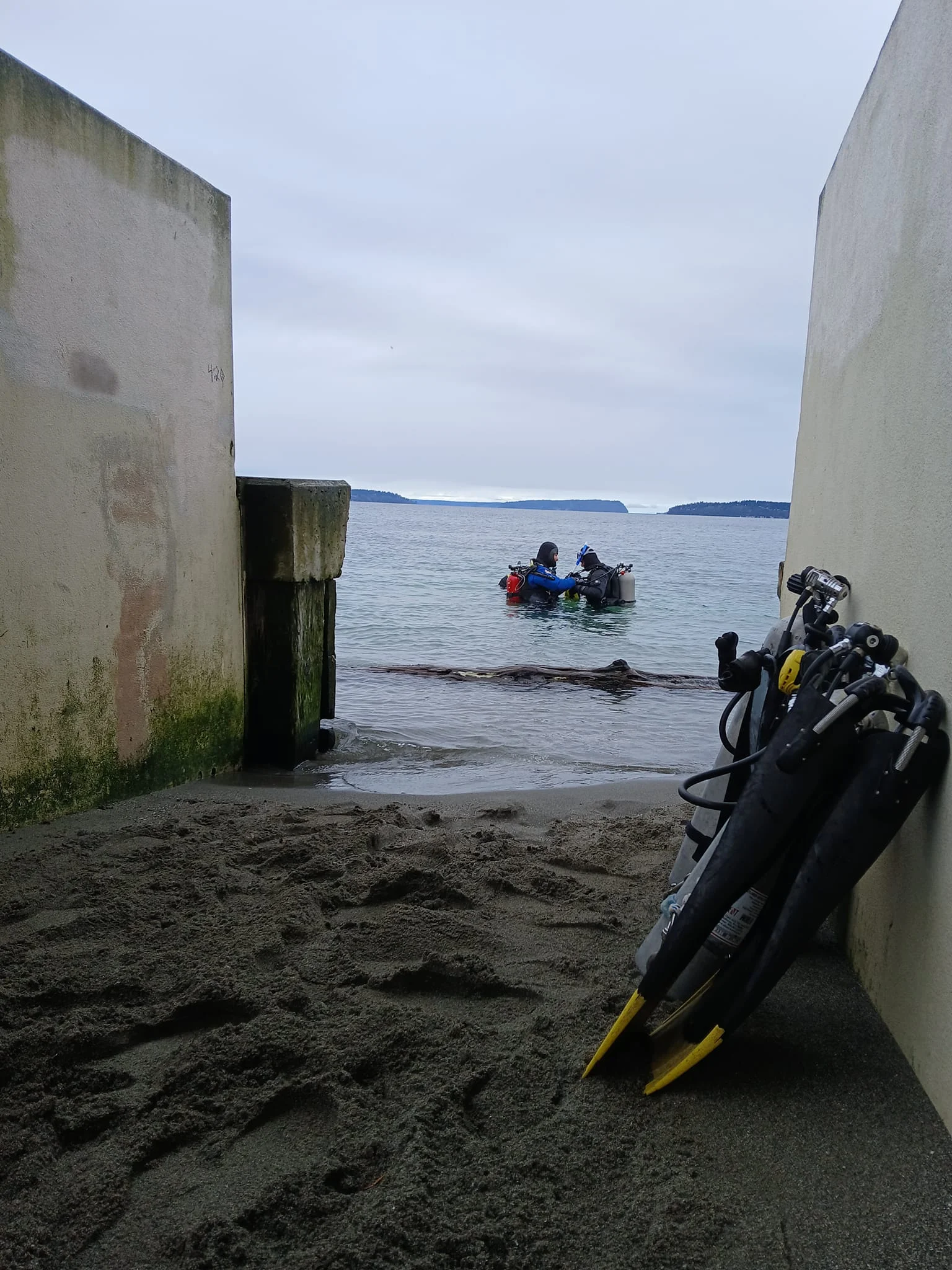 Entrance to Mukilteo T Dock dive site in Mukilteo, WA. Photo by Scuba Jess.