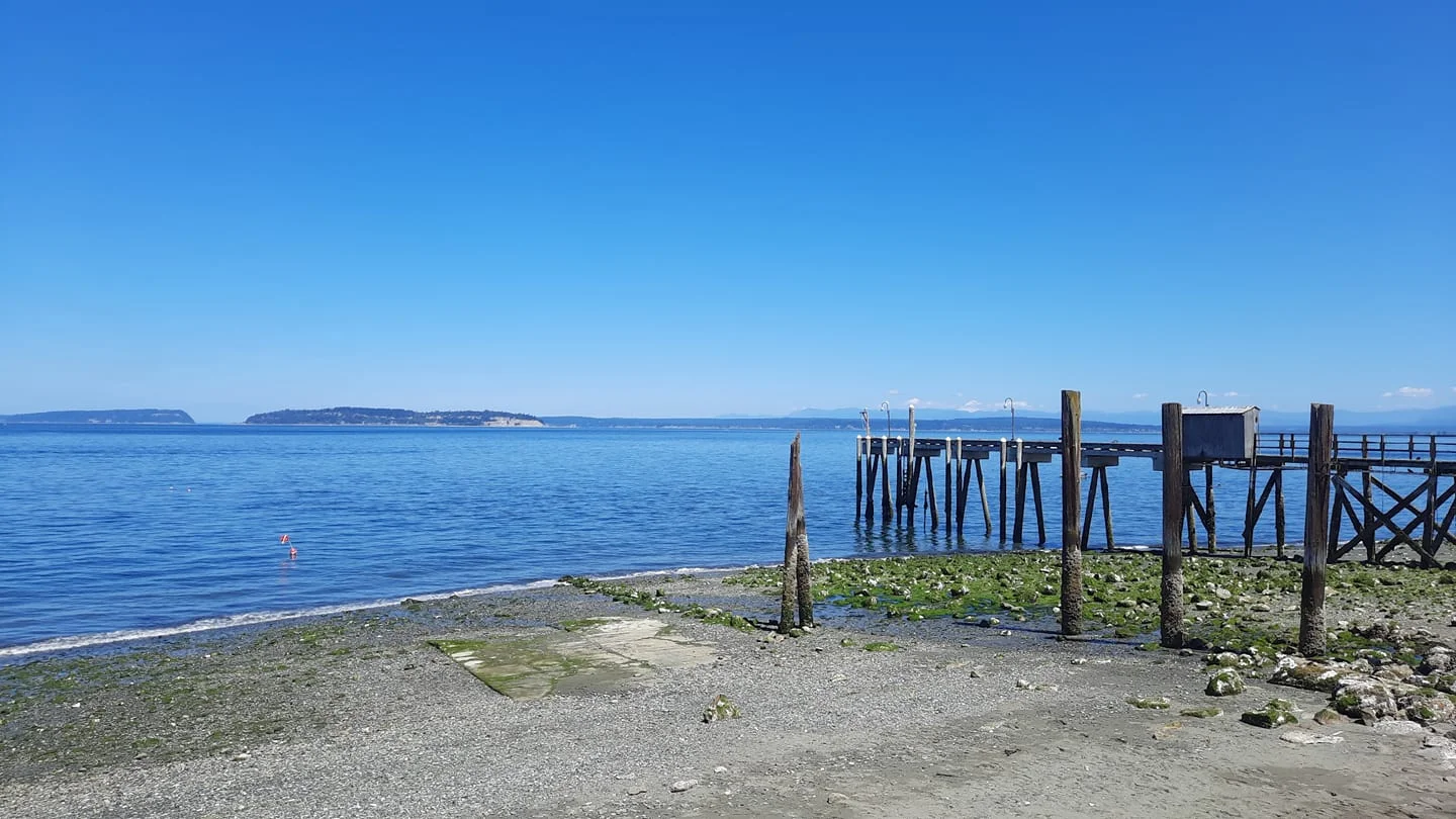 Another view of the T Dock from shore at Mukilteo T Dock, Mukilteo, WA. Photo provided by Scuba Jess.