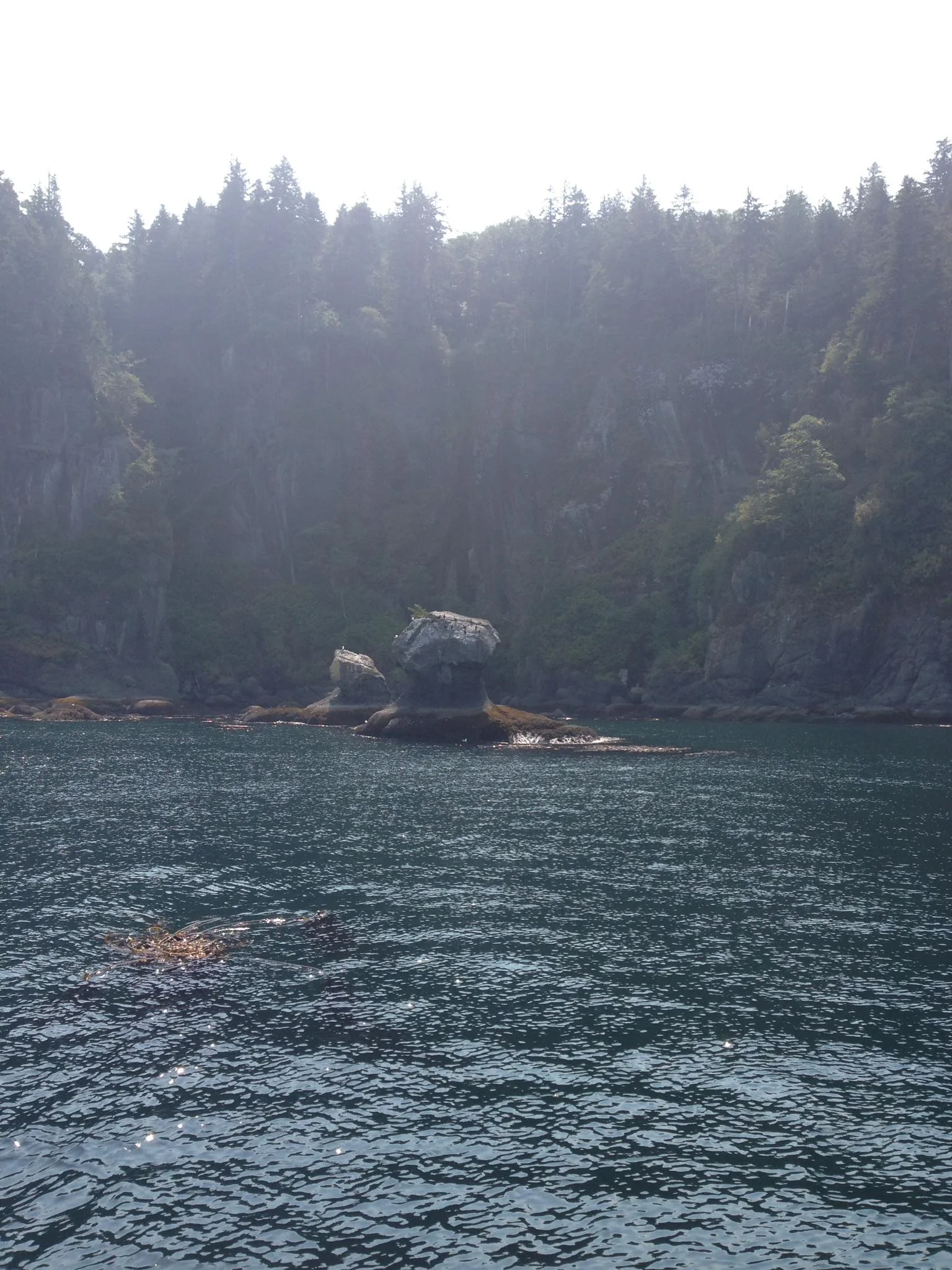 Mushroom Rock at Neah Bay, one of Washington’s most iconic dive sites. Photo by Scuba Jess.