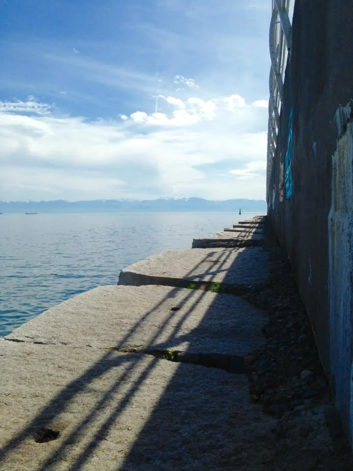 Ogden Point breakwater. Photo by Scuba Jess.