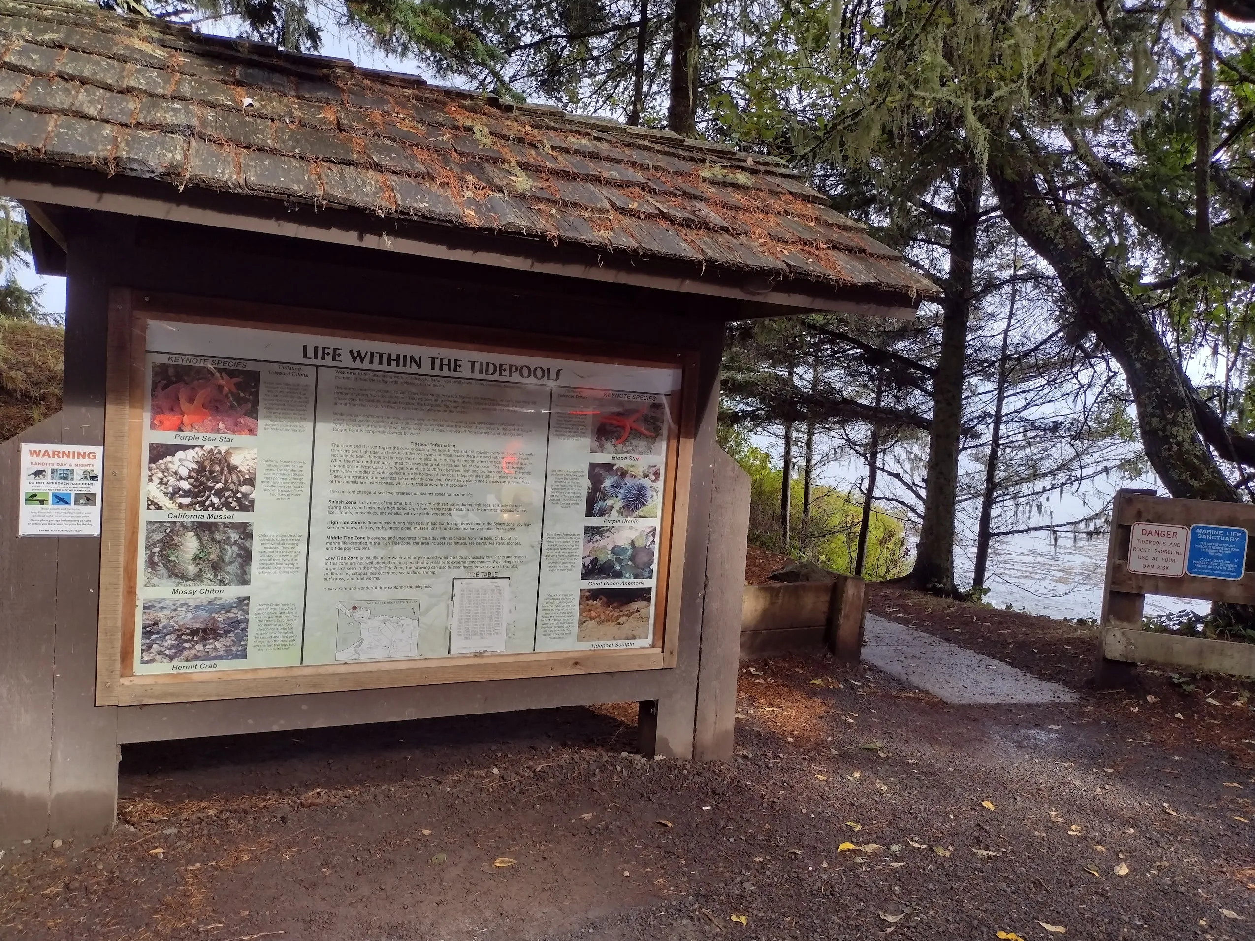 This is the Salt Creek parking area we use, near campsite 63. There are several other entries possible, but this is by far the best entry area on most days.