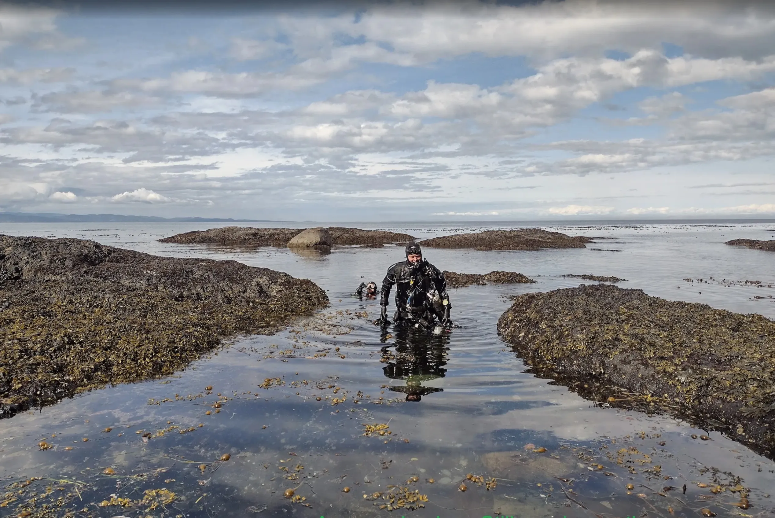 Always keep your regulator in your mouth while entering the water at Salt Creek. We actually recommend doing so at all dive sites, but Salt Creek in particular has many trip hazards. Photo by Scuba Jess.