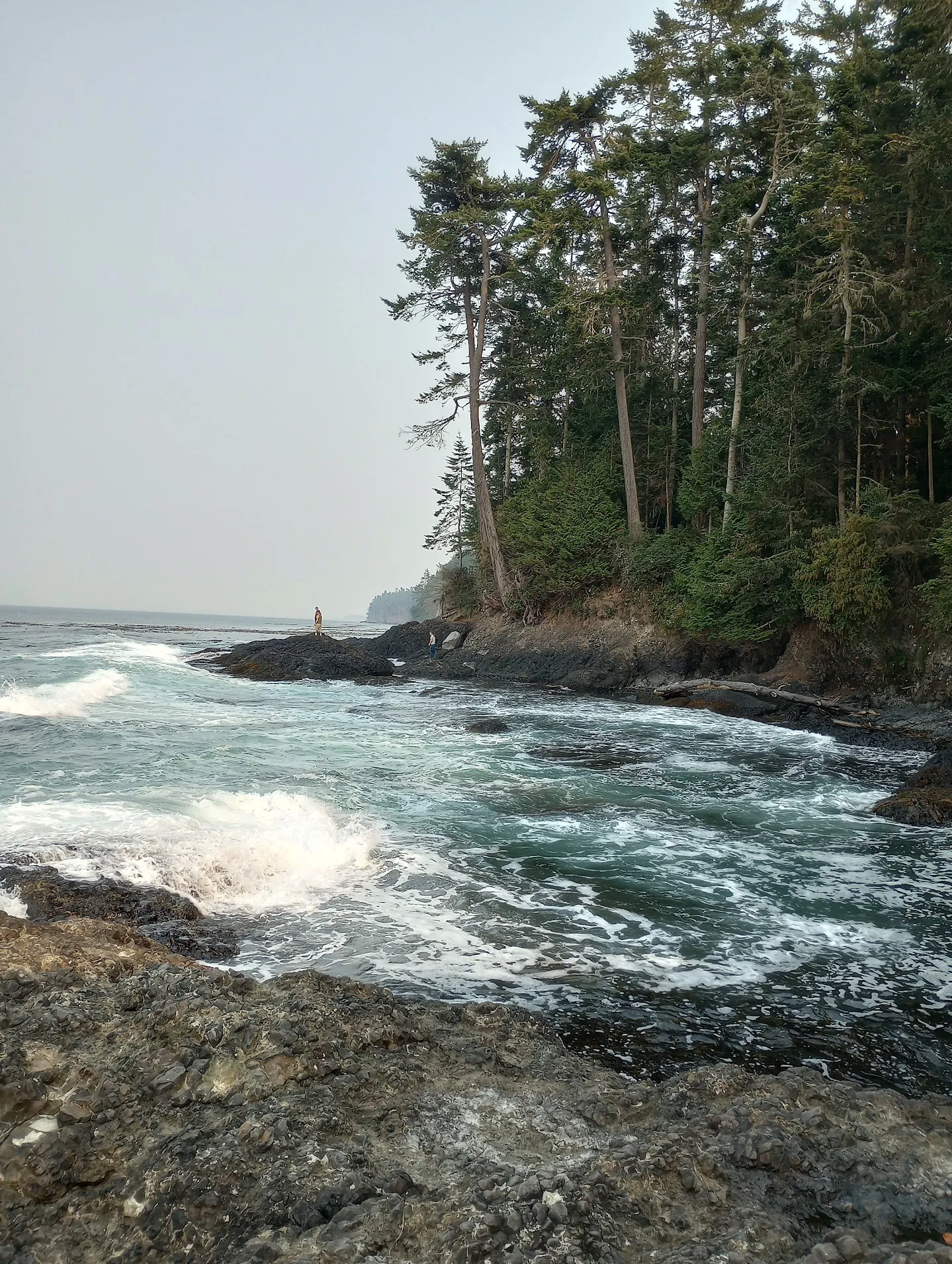 Salt Creek can have some very rough conditions. Be sure to check conditions as advised in our briefings to ensure a safe dive. We would not dive on this day and we have >100 dives here!