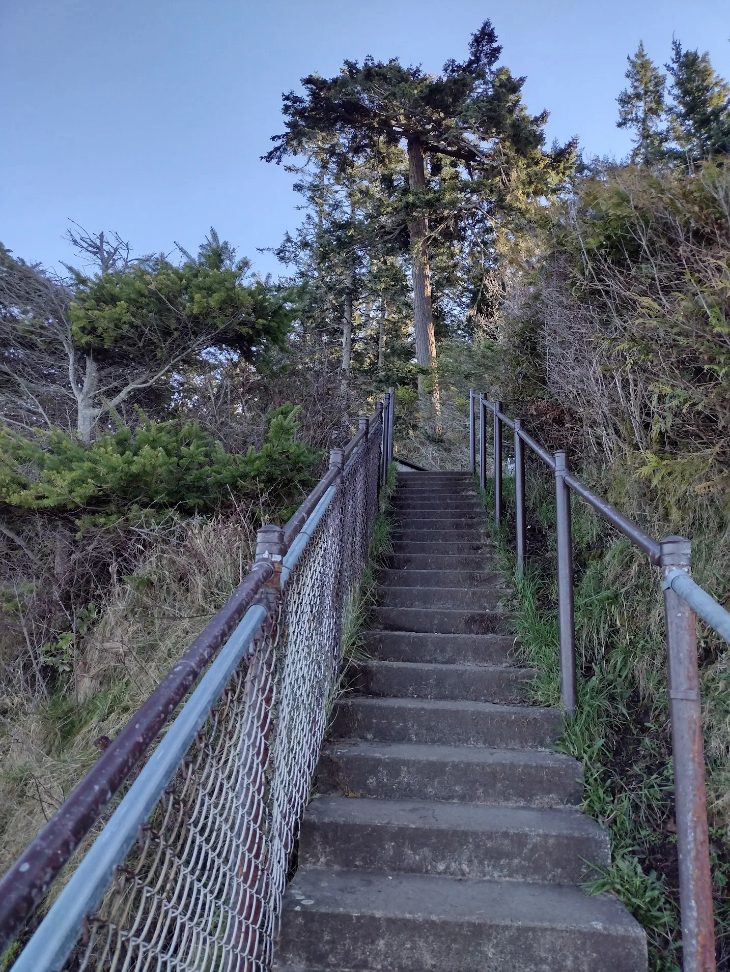 The stairway up to the parking area at Salt Creek.
