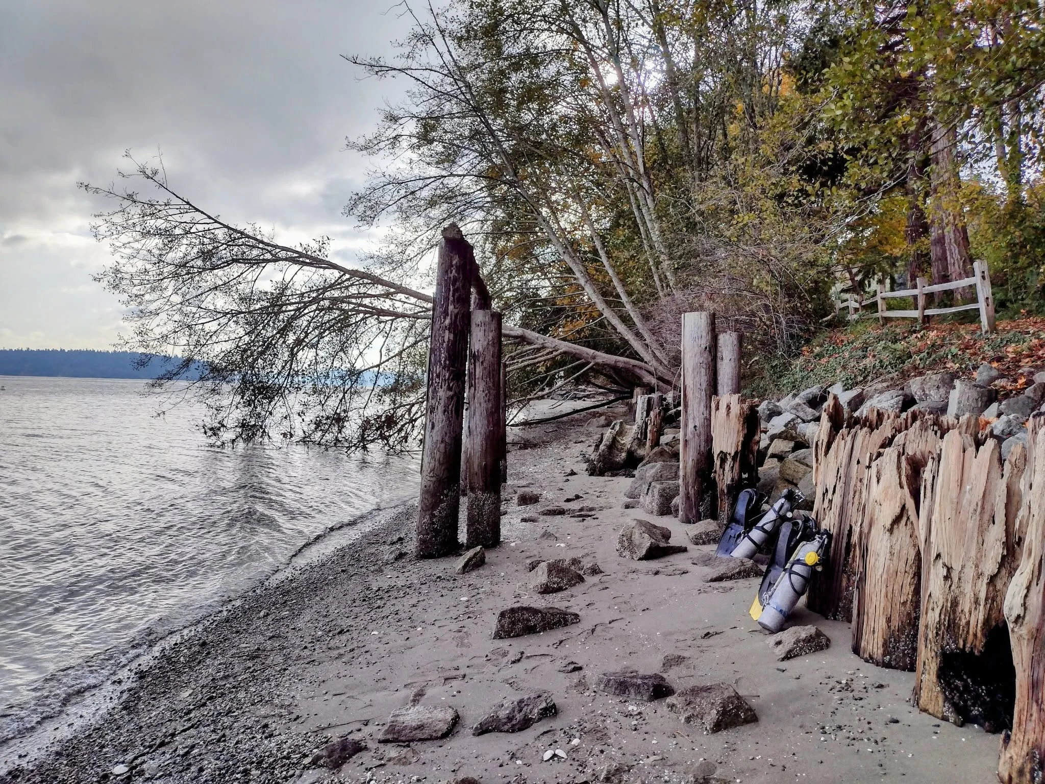 Shore entry at Sunrise Beach at high tide. The entry is still a long wade or swim or scooter from here. There are signs posted forbidding walking on the beach. Photo by Scuba Jess.
