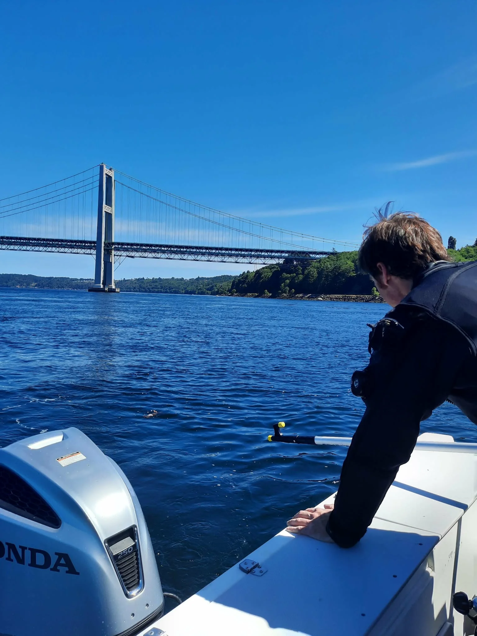 Tacoma Narrows from the surface. Photo by Scuba Jess.