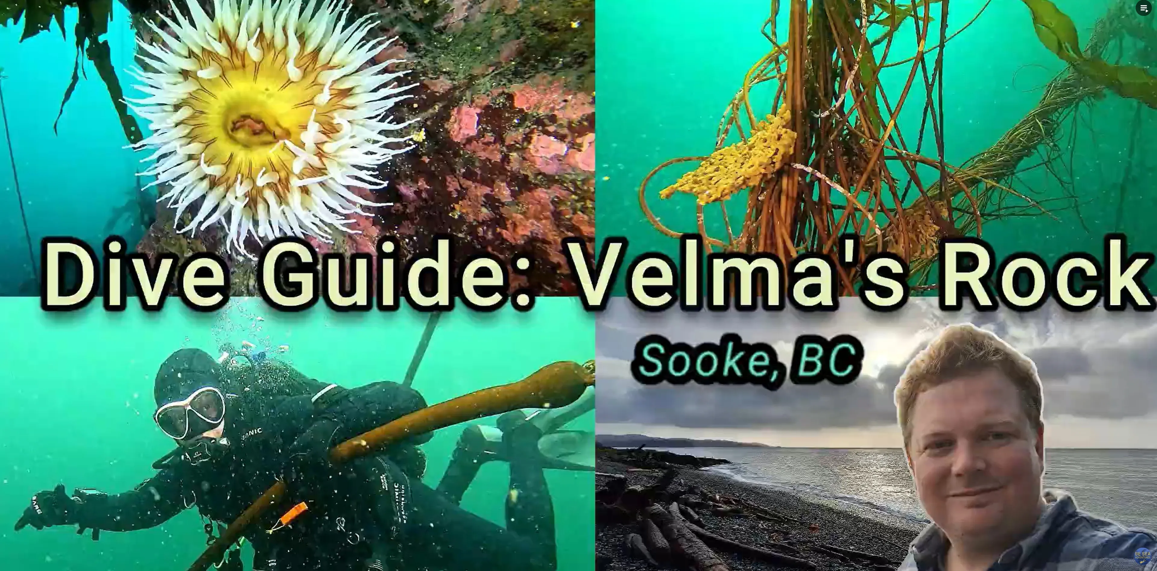 Still from Be Sea Adventures video on Velma's Rock near Sooke, British Columbia.